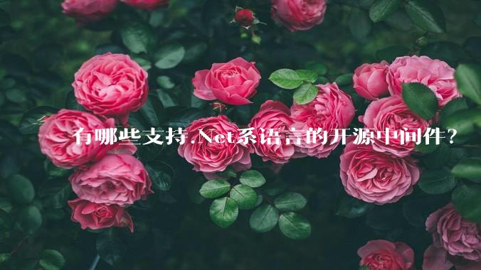 有哪些支持.Net系语言的开源中间件？