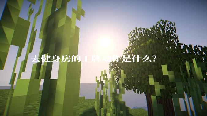 去健身房的王牌动作是什么？