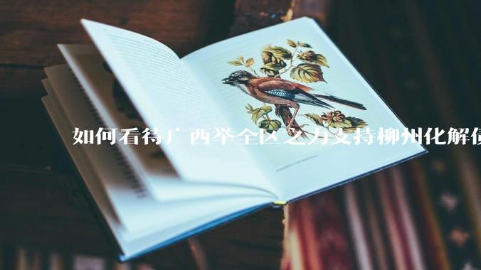 如何看待广西举全区之力支持柳州化解债务？为什么最近地方债又重回公众视野？