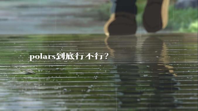 polars到底行不行？