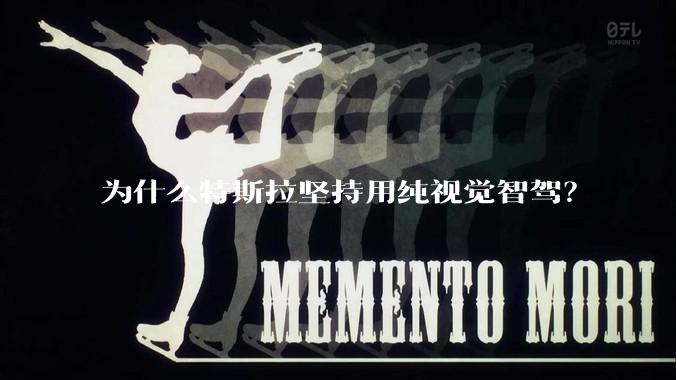 为什么特斯拉坚持用纯视觉智驾？
