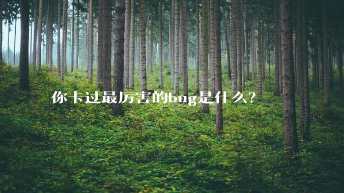你卡过最厉害的bug是什么？
