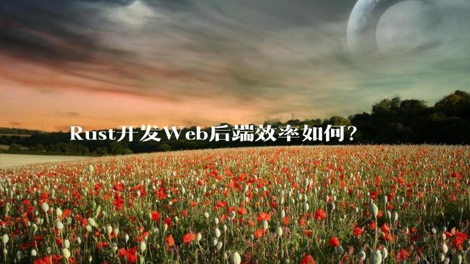 Rust开发Web后端效率如何？