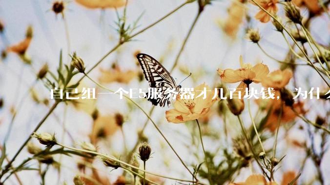 自己组一个E5服务器才几百块钱，为什么去阿里云租这么贵?