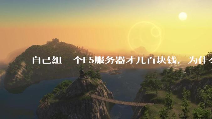自己组一个E5服务器才几百块钱，为什么去阿里云租这么贵?