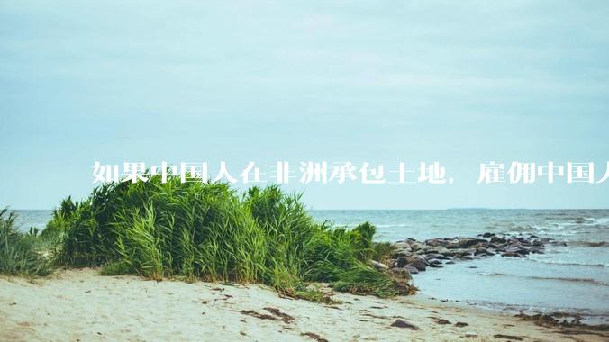 如果中国人在非洲承包土地，雇佣中国人大规模种粮食，可行吗？