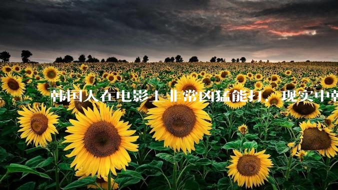韩国人在电影上非常凶猛能打，现实中韩国男人的战力如何?