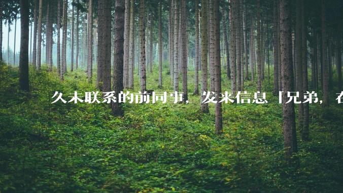 久未联系的前同事，发来信息「兄弟，在吗？」，该如何回复？