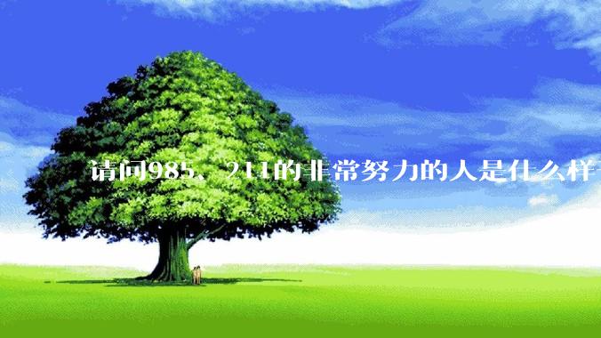 请问985、211的非常努力的人是什么样子的？