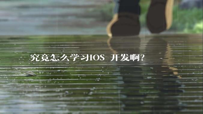 究竟怎么学习IOS 开发啊？